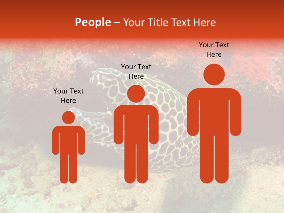 A Large Turtle Is Laying On The Ocean Floor PowerPoint Template