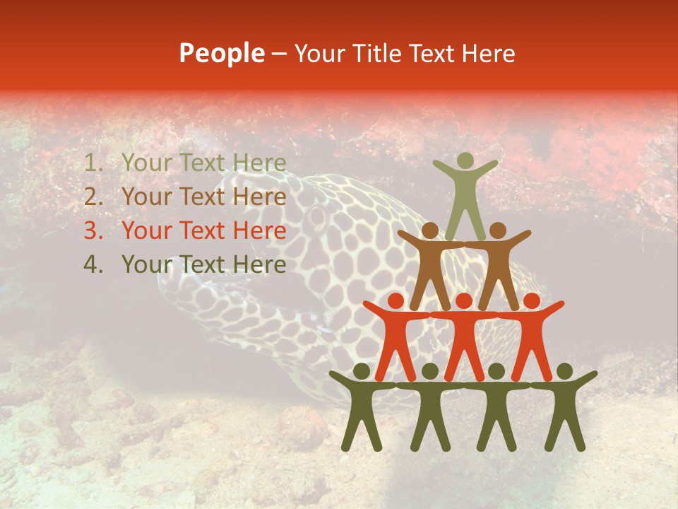 A Large Turtle Is Laying On The Ocean Floor PowerPoint Template