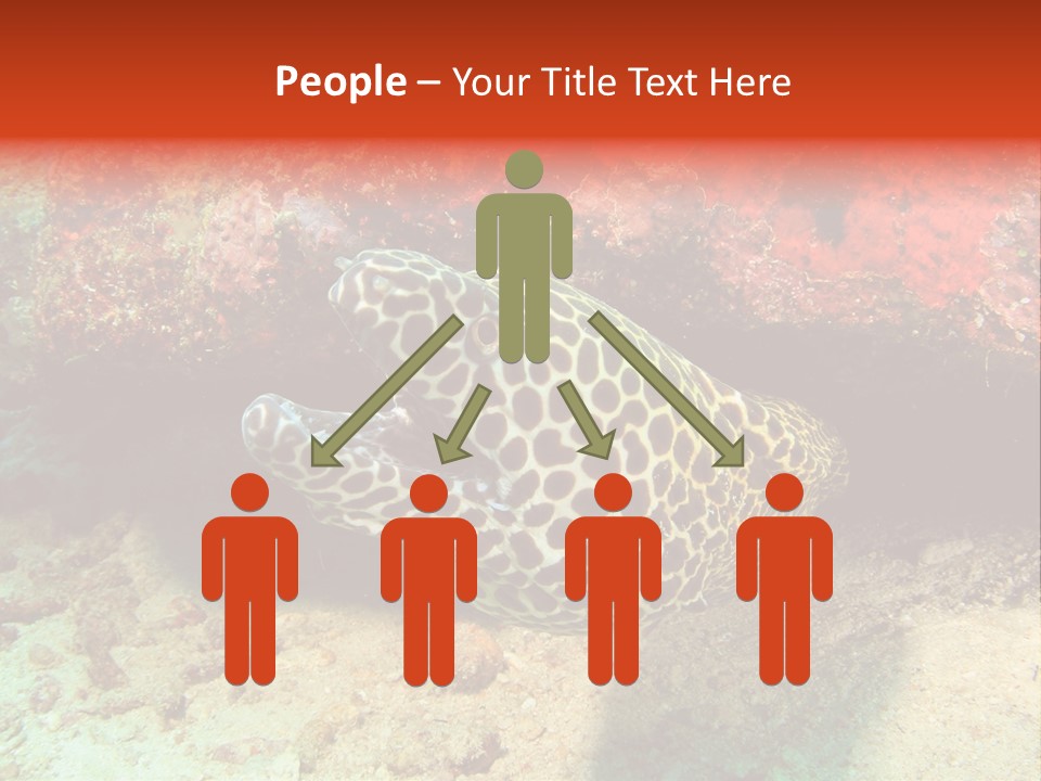 A Large Turtle Is Laying On The Ocean Floor PowerPoint Template