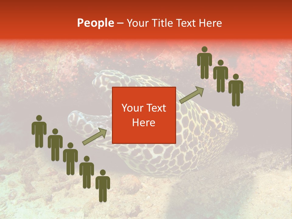 A Large Turtle Is Laying On The Ocean Floor PowerPoint Template