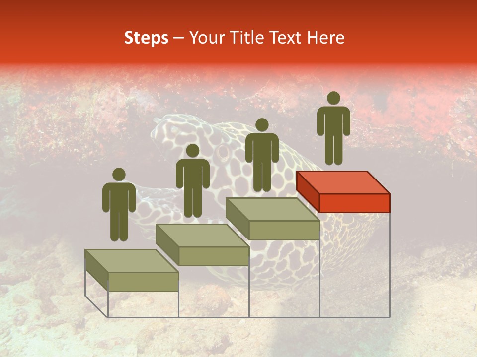 A Large Turtle Is Laying On The Ocean Floor PowerPoint Template