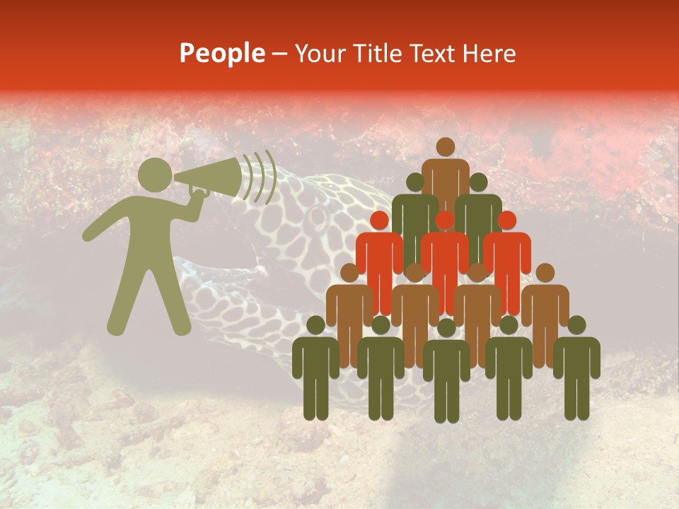 A Large Turtle Is Laying On The Ocean Floor PowerPoint Template