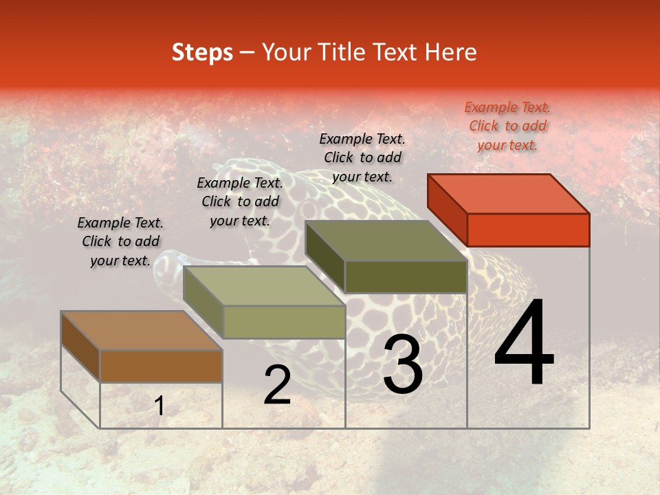 A Large Turtle Is Laying On The Ocean Floor PowerPoint Template
