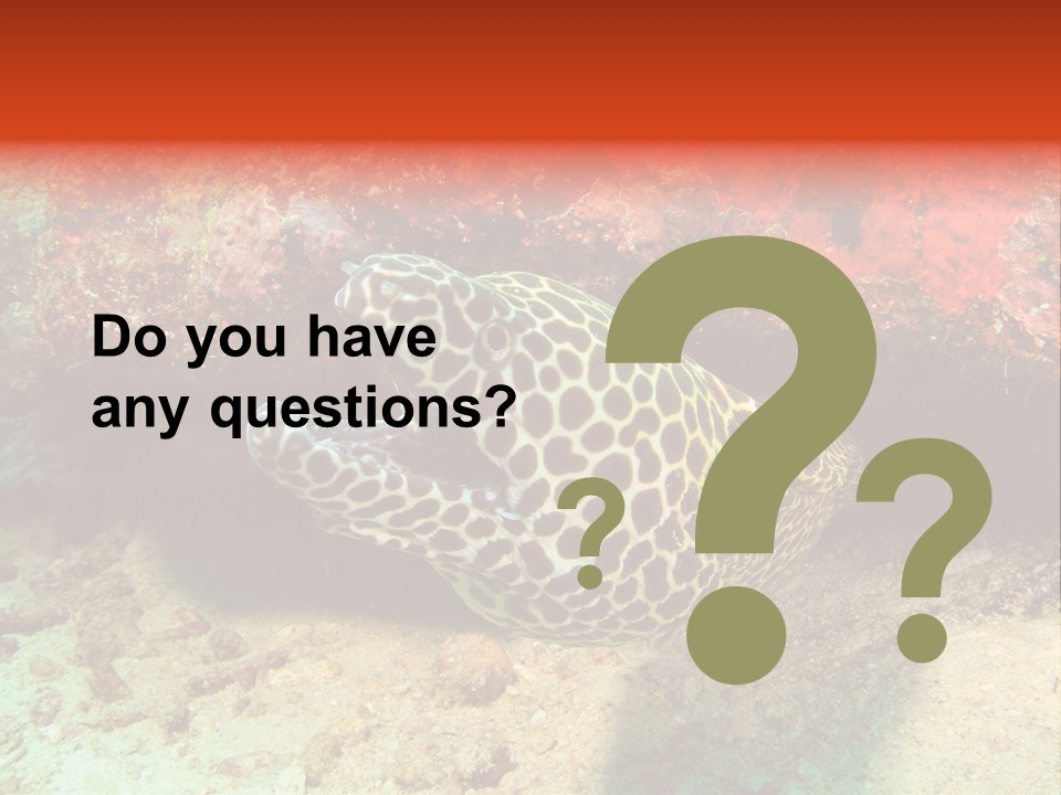 A Large Turtle Is Laying On The Ocean Floor PowerPoint Template