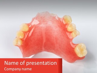 A Dental Model With Teeth And Gums On A White Background PowerPoint Template
