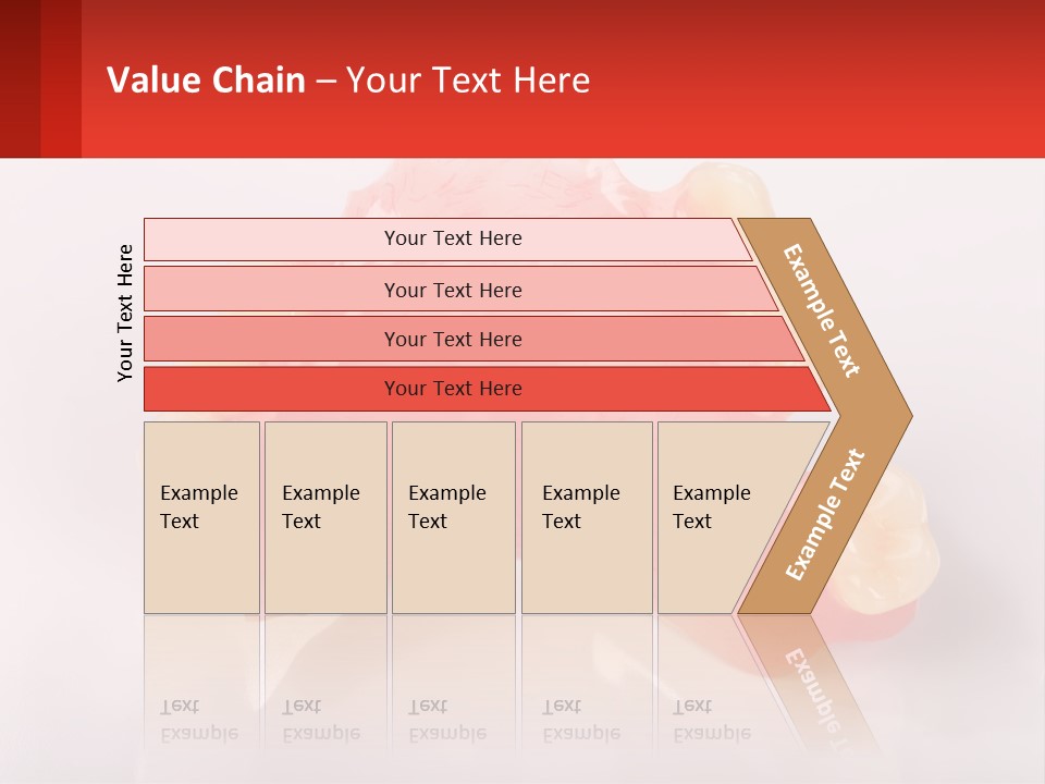 A Dental Model With Teeth And Gums On A White Background PowerPoint Template