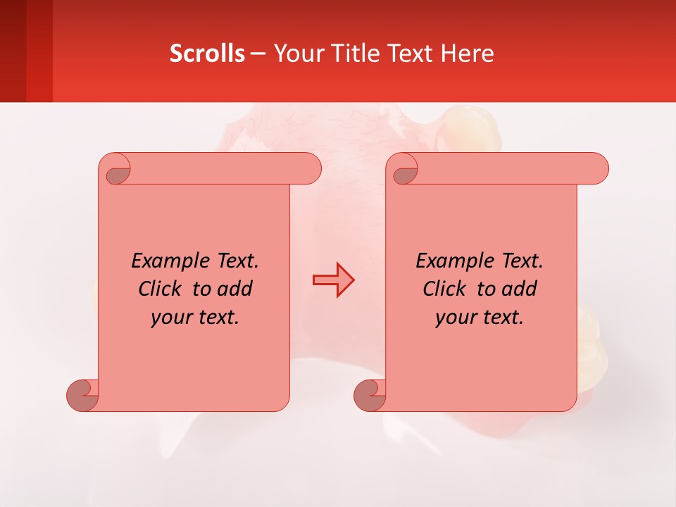 A Dental Model With Teeth And Gums On A White Background PowerPoint Template