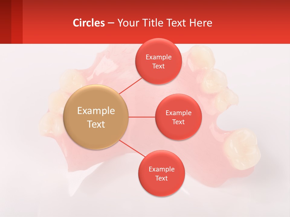 A Dental Model With Teeth And Gums On A White Background PowerPoint Template