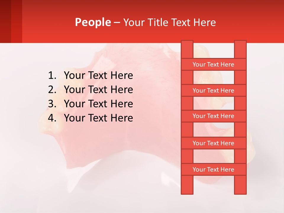 A Dental Model With Teeth And Gums On A White Background PowerPoint Template