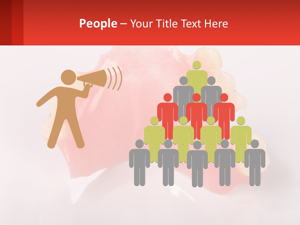 A Dental Model With Teeth And Gums On A White Background PowerPoint Template