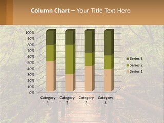 A Wooden Bridge In The Middle Of A Forest PowerPoint Template
