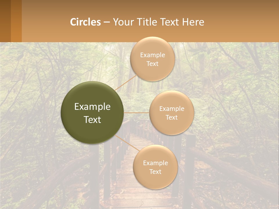 A Wooden Bridge In The Middle Of A Forest PowerPoint Template