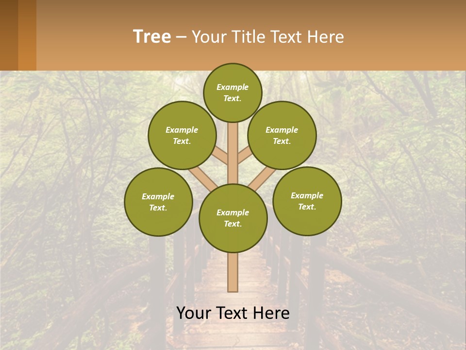 A Wooden Bridge In The Middle Of A Forest PowerPoint Template