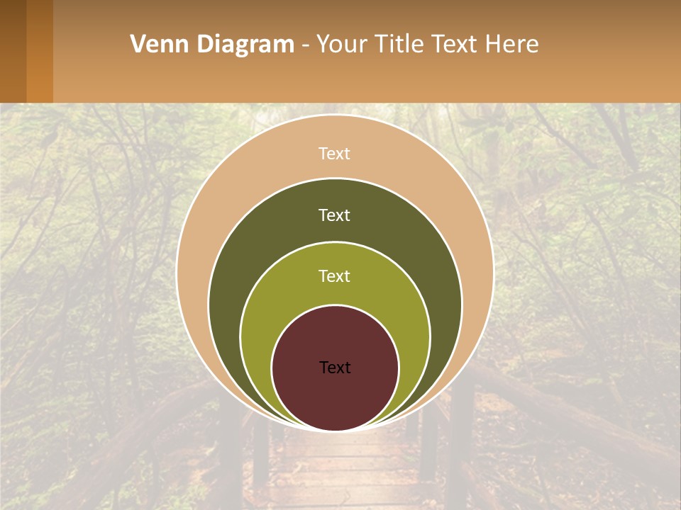 A Wooden Bridge In The Middle Of A Forest PowerPoint Template