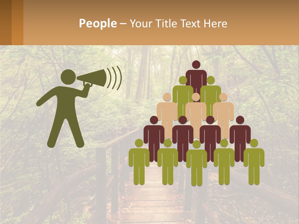 A Wooden Bridge In The Middle Of A Forest PowerPoint Template