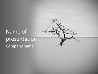 A Black And White Photo Of A Tree In The Middle Of A Body Of Water PowerPoint Template