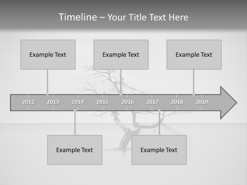 A Black And White Photo Of A Tree In The Middle Of A Body Of Water PowerPoint Template
