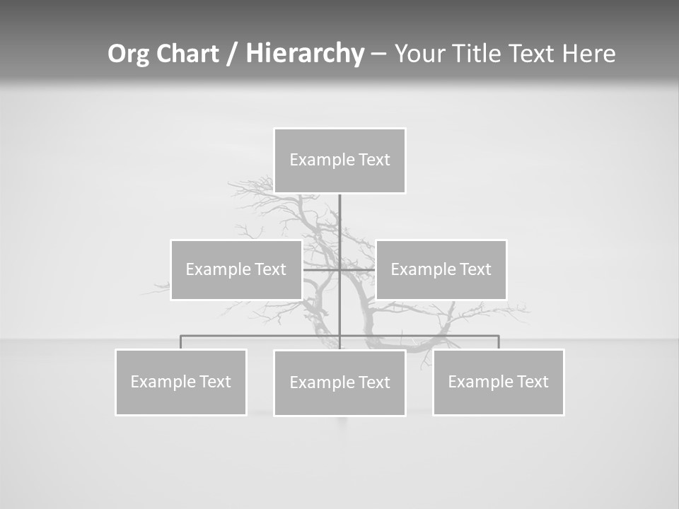 A Black And White Photo Of A Tree In The Middle Of A Body Of Water PowerPoint Template