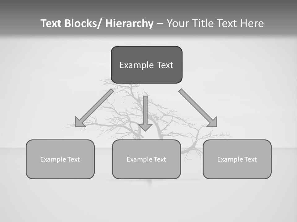 A Black And White Photo Of A Tree In The Middle Of A Body Of Water PowerPoint Template