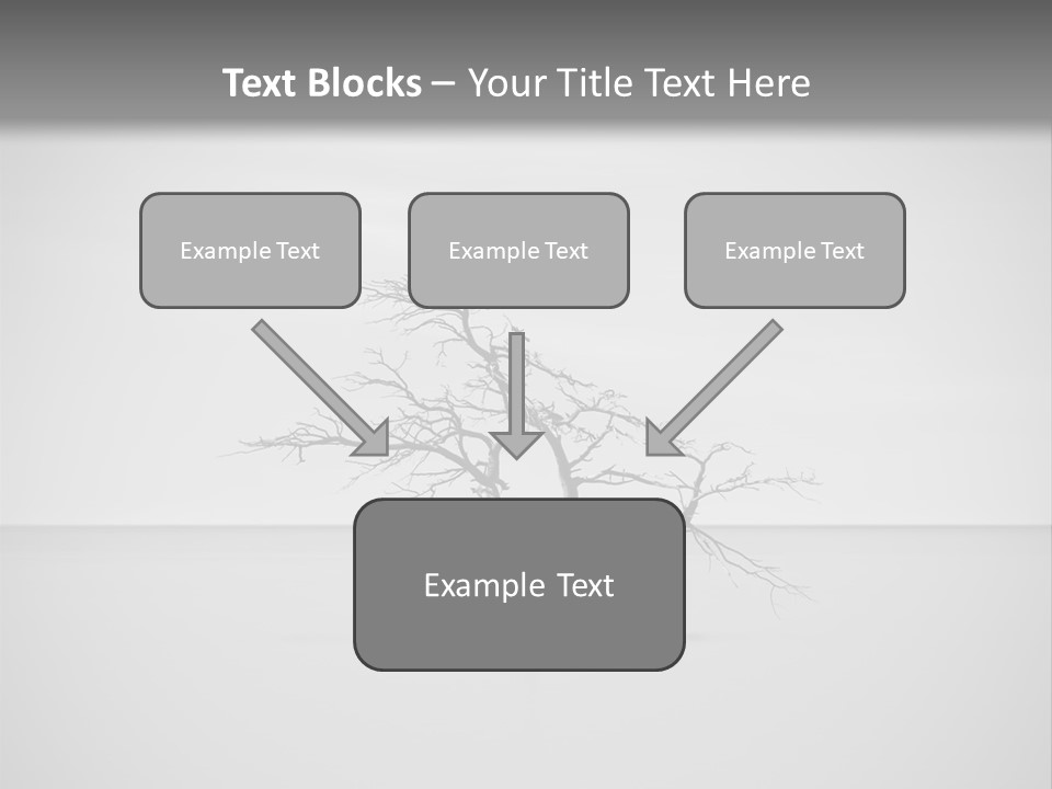 A Black And White Photo Of A Tree In The Middle Of A Body Of Water PowerPoint Template