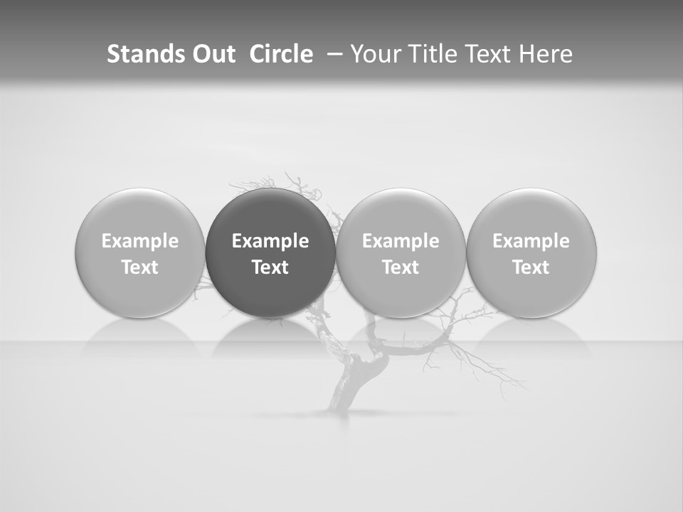 A Black And White Photo Of A Tree In The Middle Of A Body Of Water PowerPoint Template