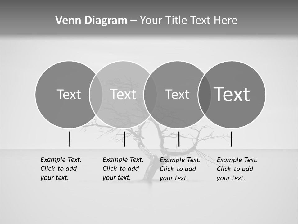 A Black And White Photo Of A Tree In The Middle Of A Body Of Water PowerPoint Template