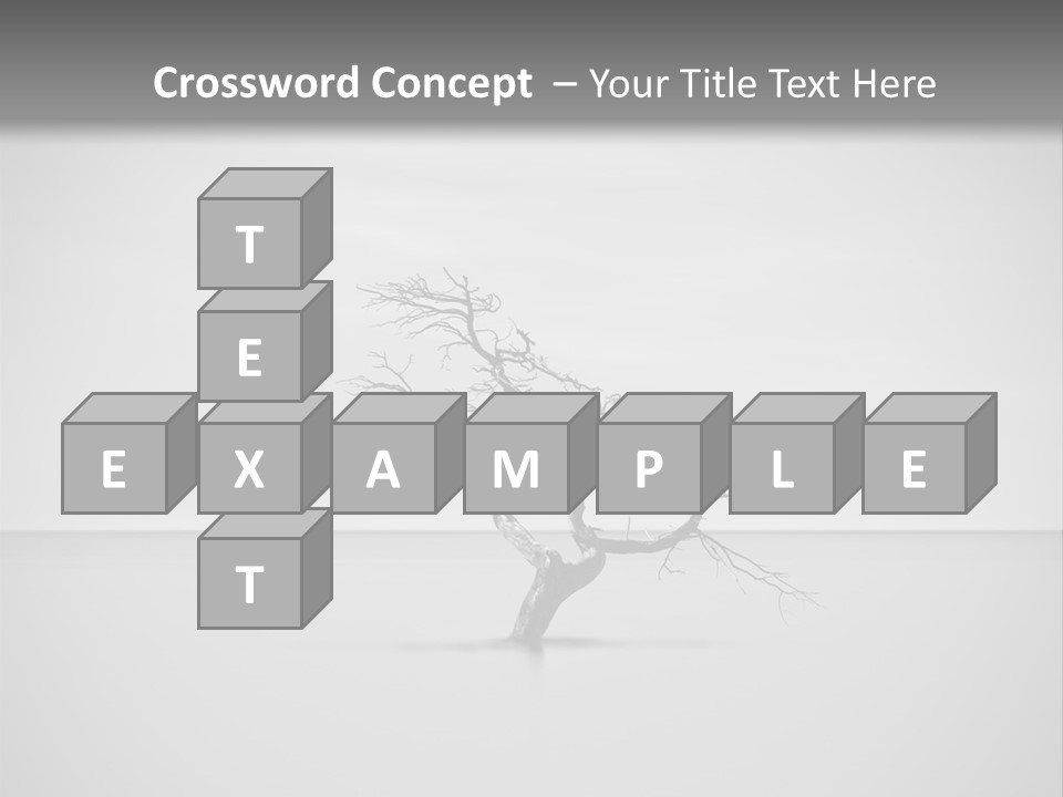 A Black And White Photo Of A Tree In The Middle Of A Body Of Water PowerPoint Template