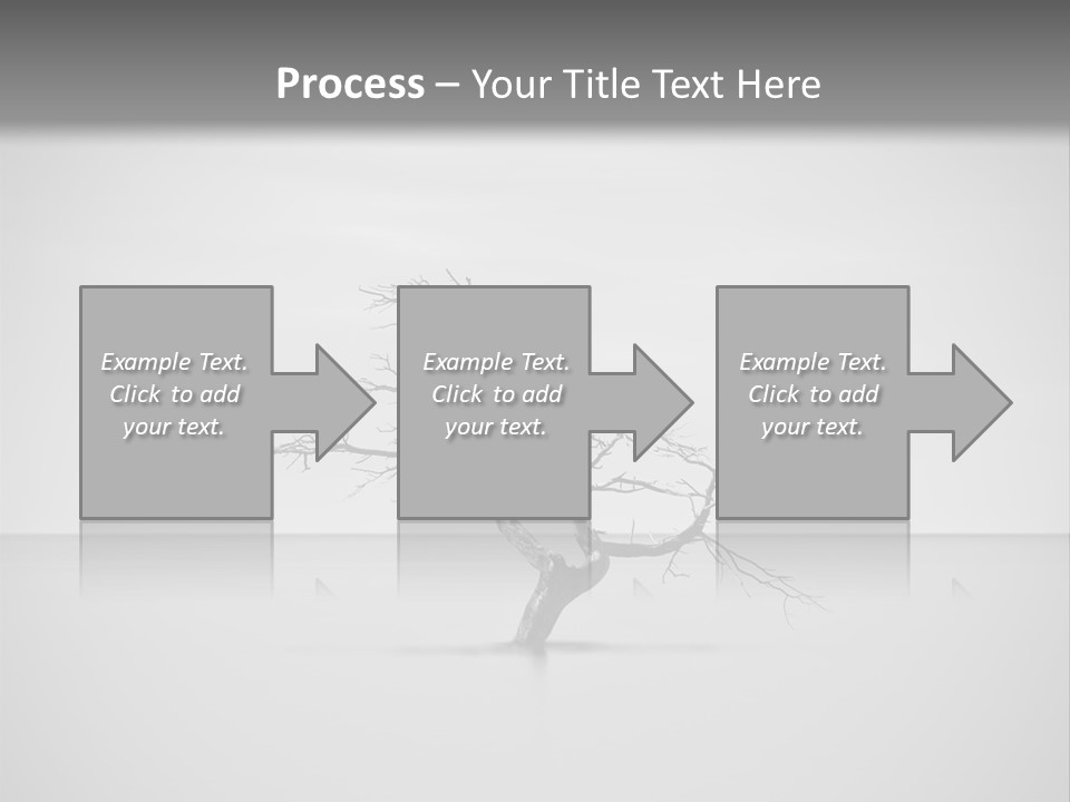 A Black And White Photo Of A Tree In The Middle Of A Body Of Water PowerPoint Template