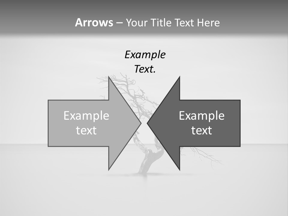 A Black And White Photo Of A Tree In The Middle Of A Body Of Water PowerPoint Template