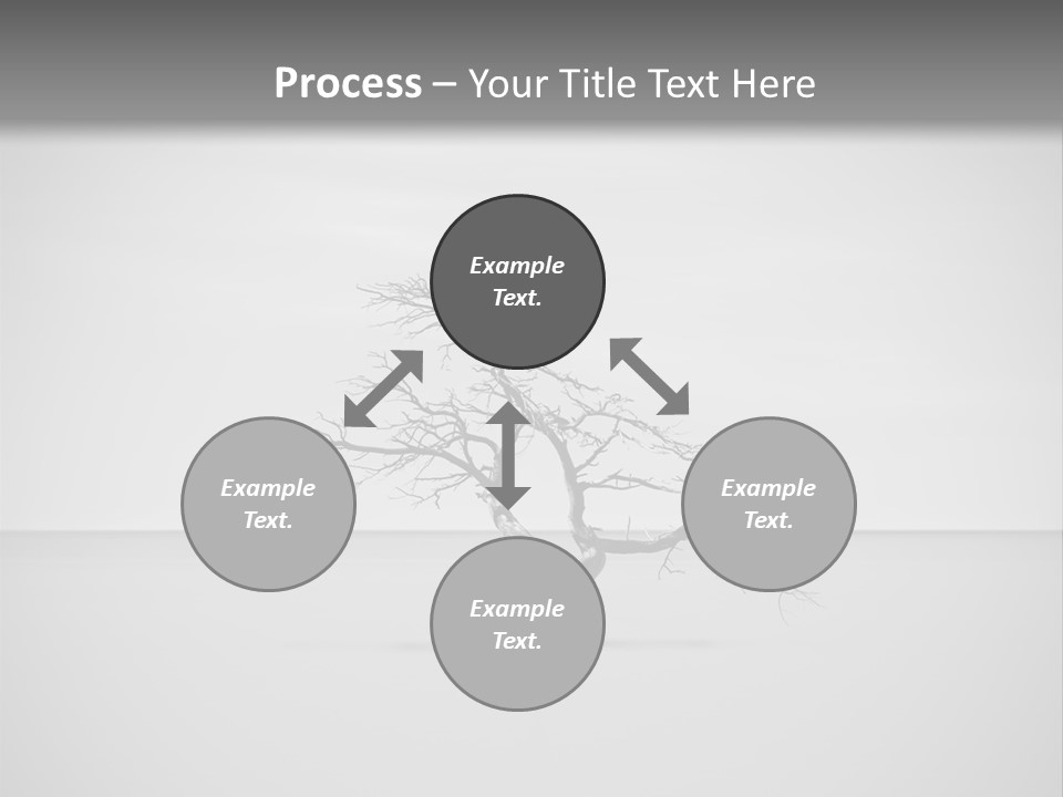 A Black And White Photo Of A Tree In The Middle Of A Body Of Water PowerPoint Template