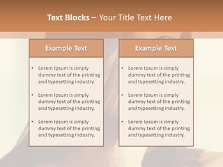 A Woman With Long Hair Is Looking At The Camera PowerPoint Template