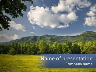 A Large Field With Trees And Mountains In The Background PowerPoint Template