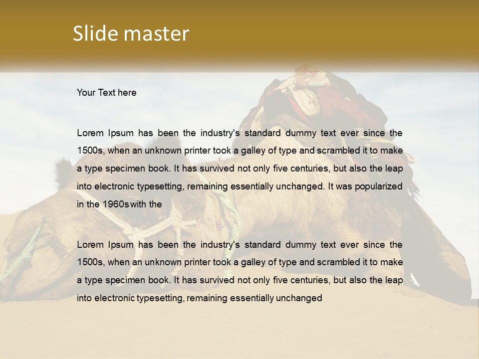 A Camel Laying Down In The Sand With A Backpack On Its Back PowerPoint Template