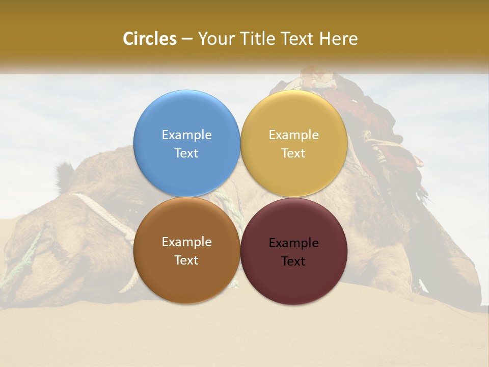 A Camel Laying Down In The Sand With A Backpack On Its Back PowerPoint Template