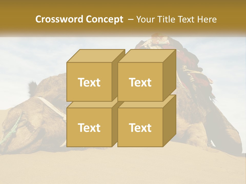 A Camel Laying Down In The Sand With A Backpack On Its Back PowerPoint Template