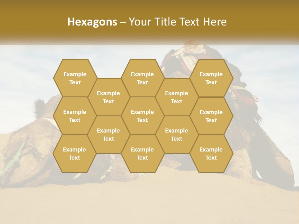 A Camel Laying Down In The Sand With A Backpack On Its Back PowerPoint Template
