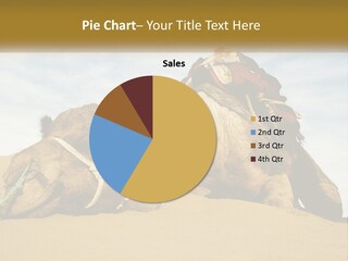 A Camel Laying Down In The Sand With A Backpack On Its Back PowerPoint Template