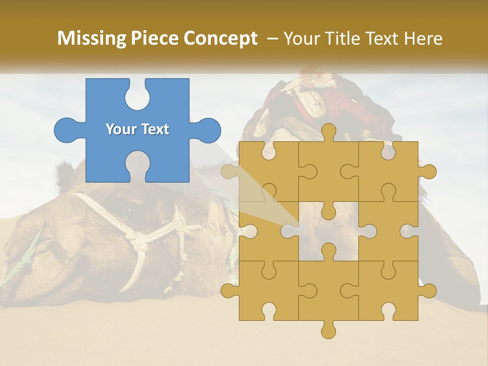 A Camel Laying Down In The Sand With A Backpack On Its Back PowerPoint Template