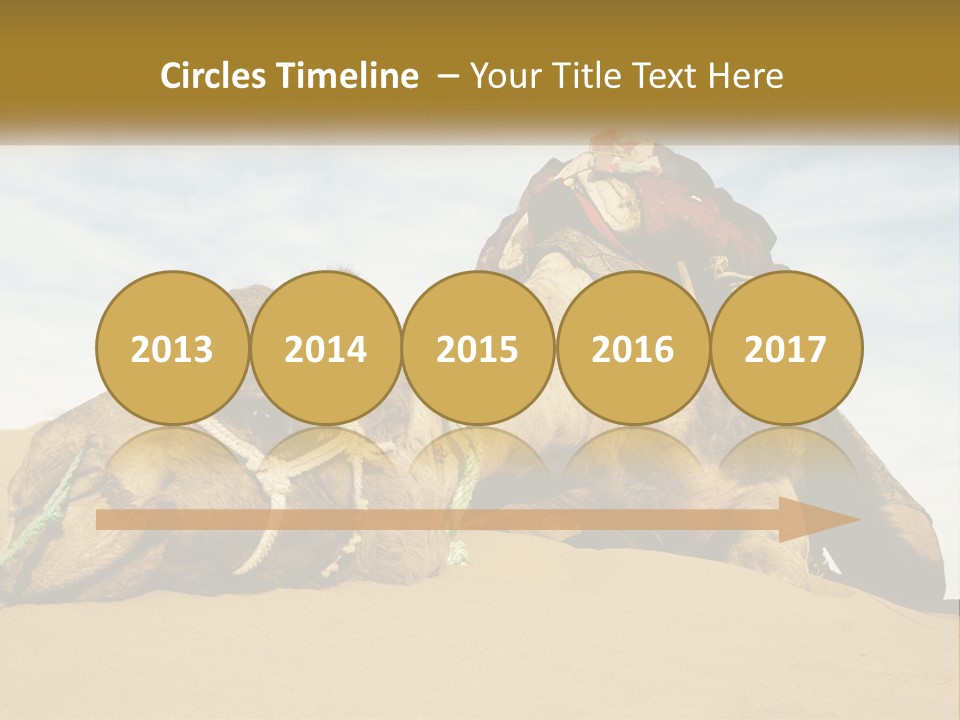 A Camel Laying Down In The Sand With A Backpack On Its Back PowerPoint Template