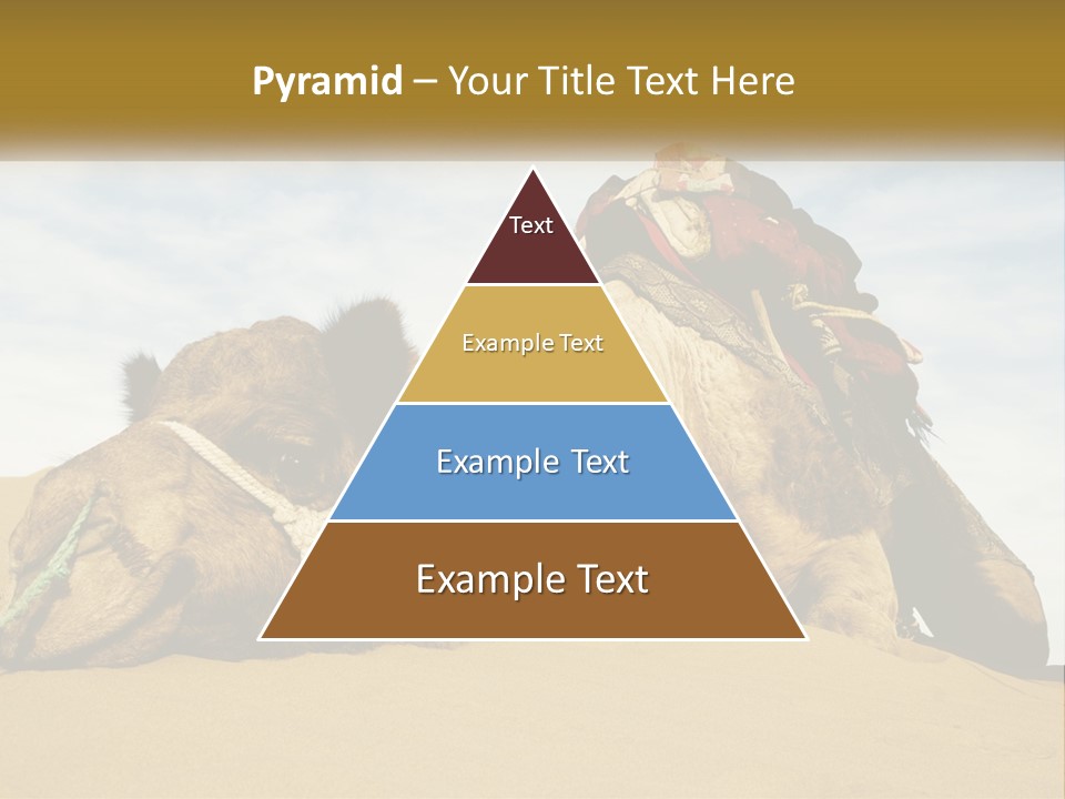 A Camel Laying Down In The Sand With A Backpack On Its Back PowerPoint Template