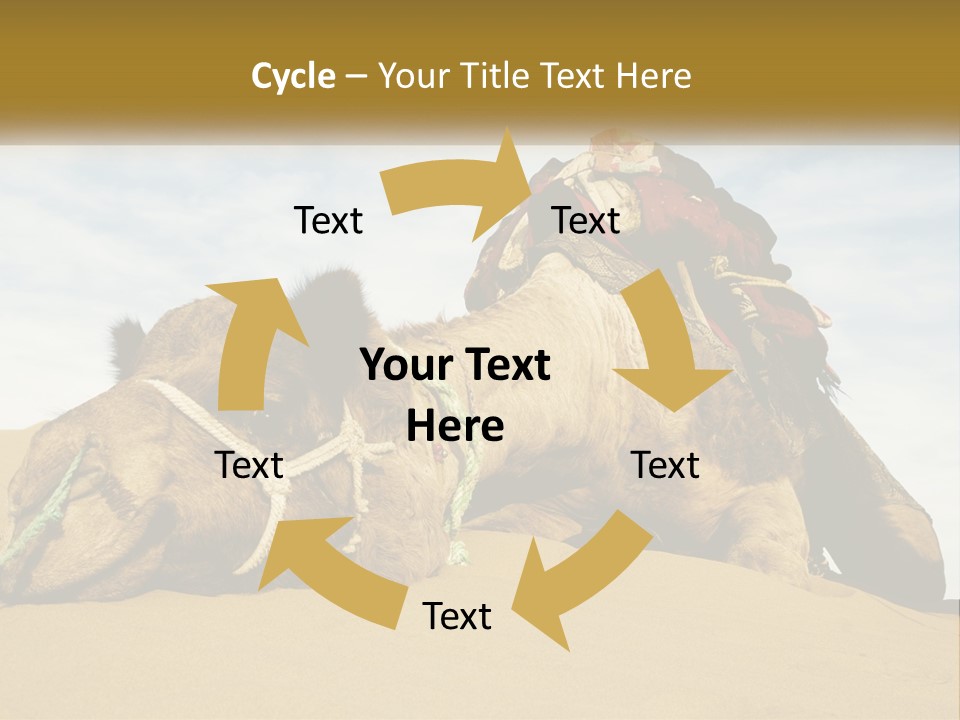 A Camel Laying Down In The Sand With A Backpack On Its Back PowerPoint Template