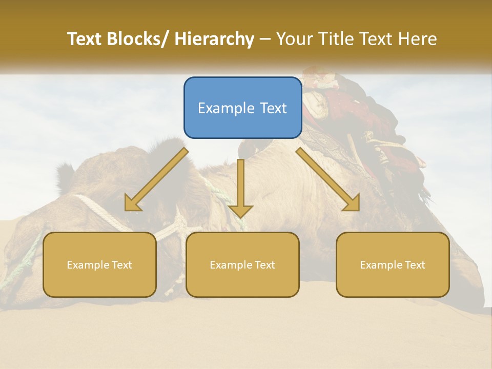 A Camel Laying Down In The Sand With A Backpack On Its Back PowerPoint Template