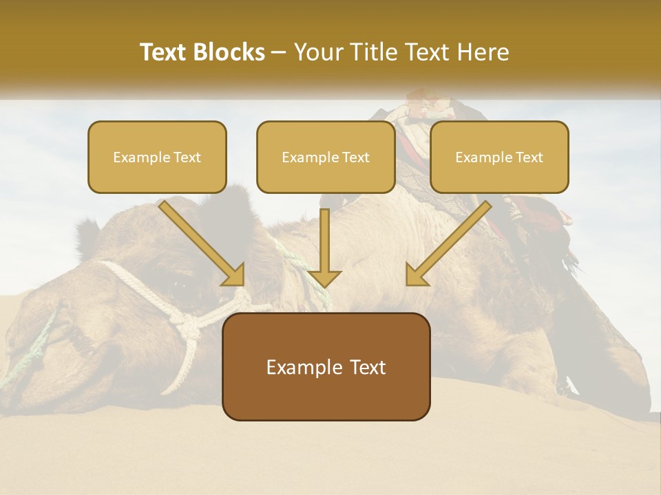 A Camel Laying Down In The Sand With A Backpack On Its Back PowerPoint Template
