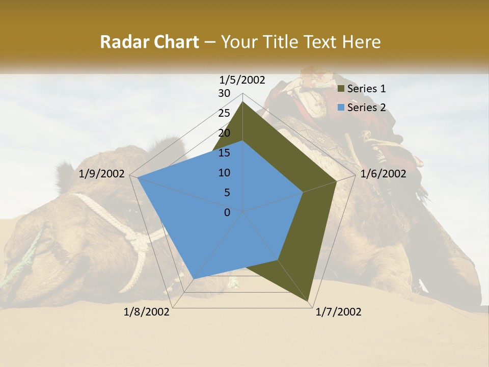 A Camel Laying Down In The Sand With A Backpack On Its Back PowerPoint Template