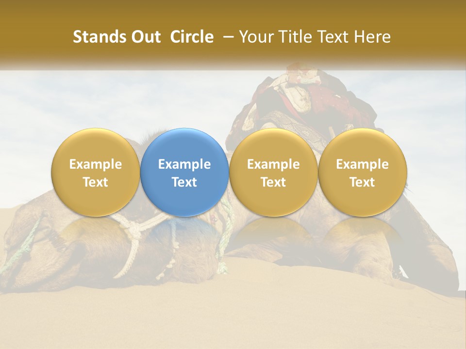 A Camel Laying Down In The Sand With A Backpack On Its Back PowerPoint Template