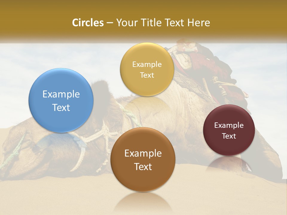 A Camel Laying Down In The Sand With A Backpack On Its Back PowerPoint Template
