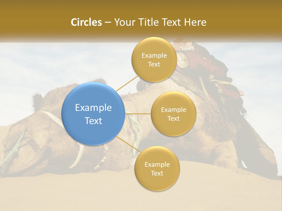 A Camel Laying Down In The Sand With A Backpack On Its Back PowerPoint Template