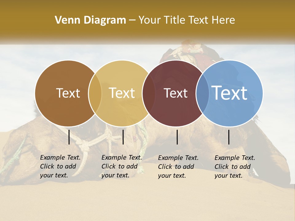 A Camel Laying Down In The Sand With A Backpack On Its Back PowerPoint Template