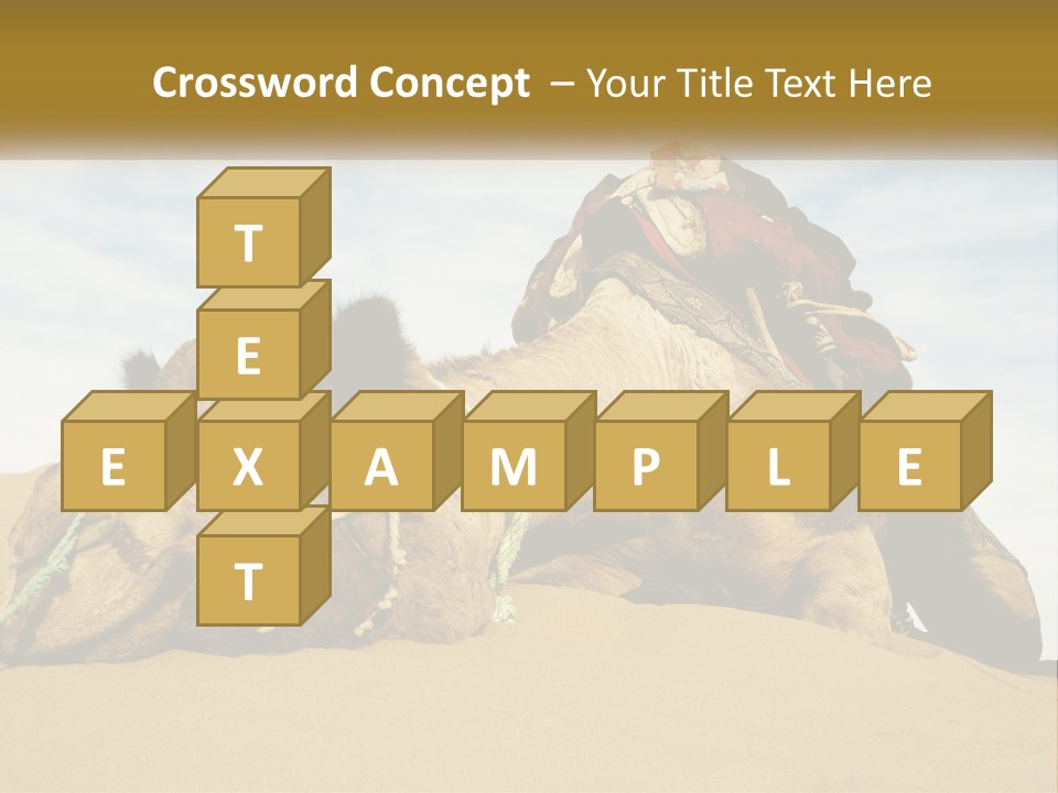 A Camel Laying Down In The Sand With A Backpack On Its Back PowerPoint Template