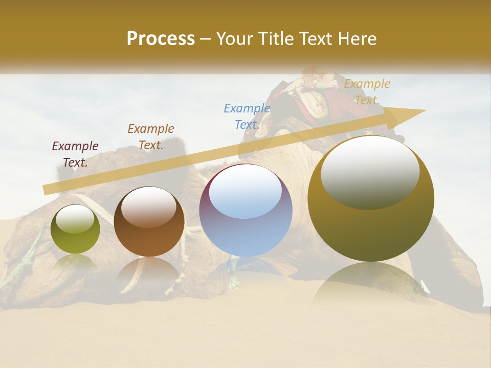 A Camel Laying Down In The Sand With A Backpack On Its Back PowerPoint Template